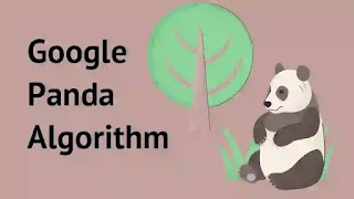 Google Panda Algorithm